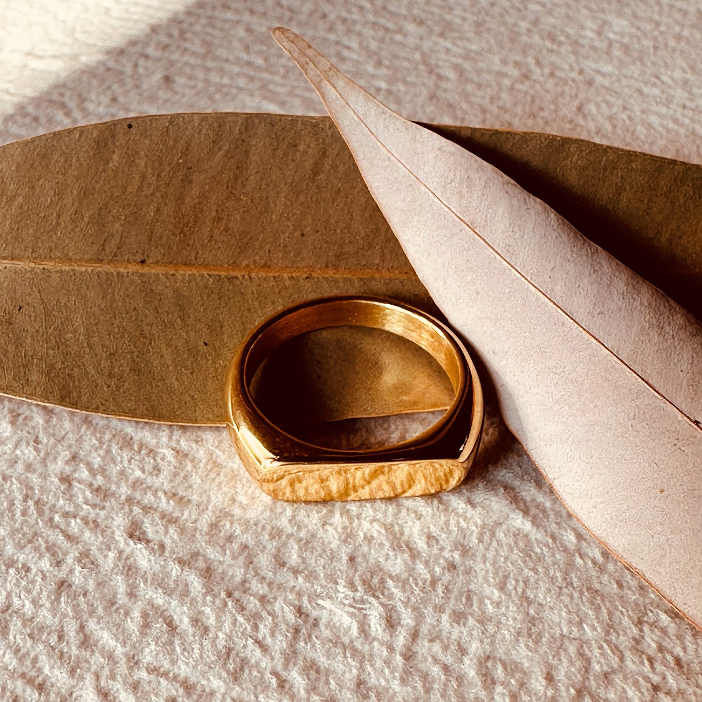 Aurora Minimalist Gold Plated Stainless Steel Ring